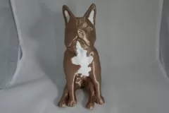 dog_02_结果