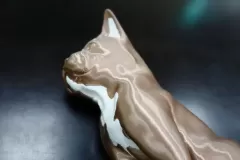 dog_04_结果