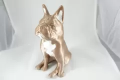 dog_05_结果