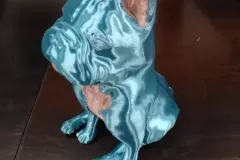 dog_06_结果