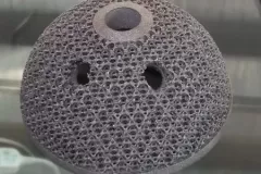 SLM