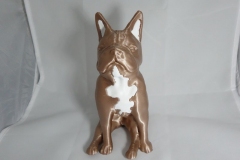 dog_01
