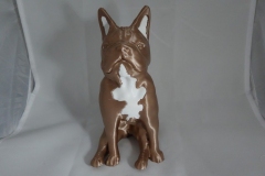 dog_02