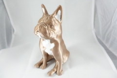 dog_05